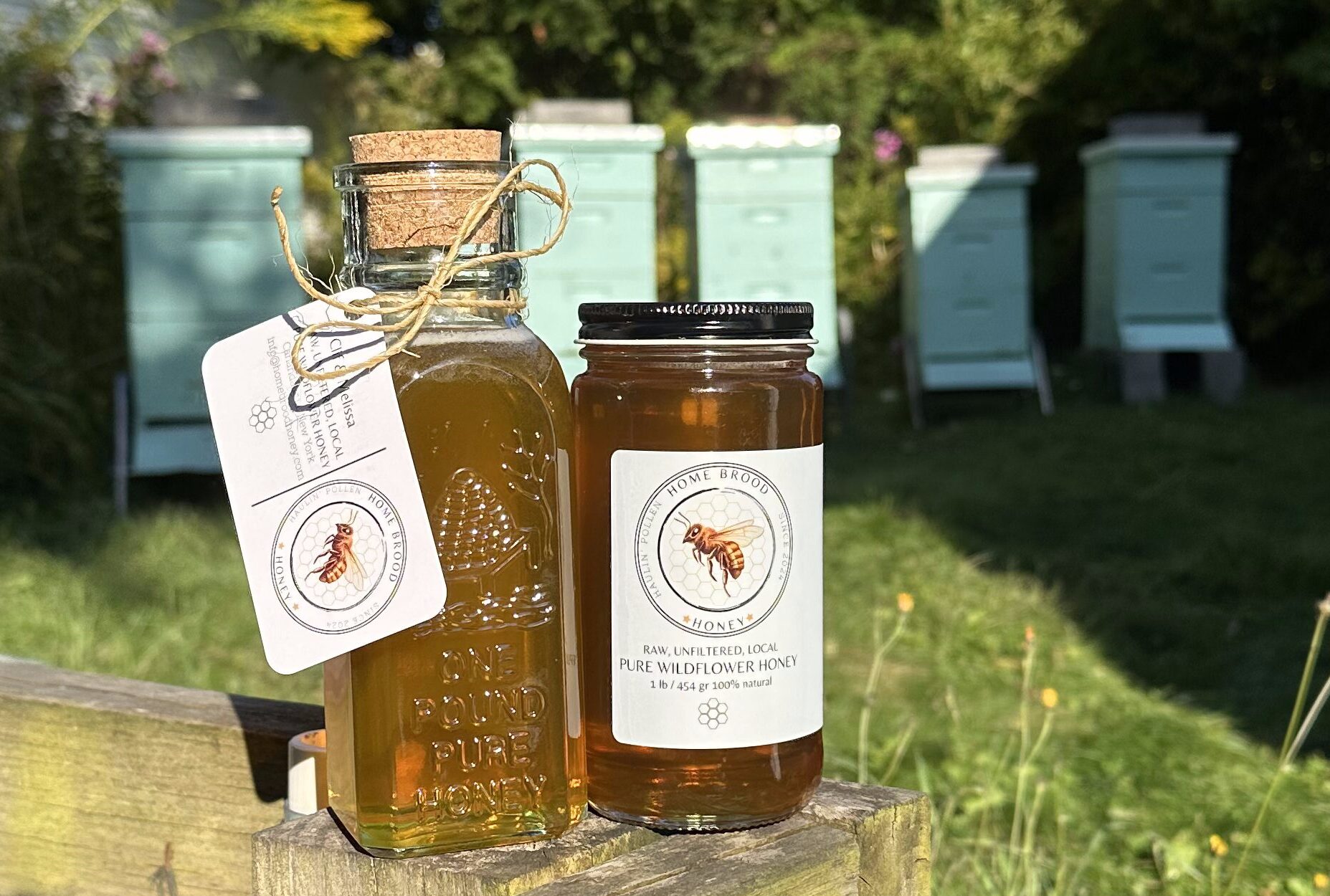 Celebrate Fall with Us 🍂🐝
